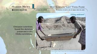 Science Bulletins Most Complete quotLucyquot Fossil Found [upl. by Danell]