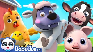 Canción de Granja  Canciones Infantiles  Videos para Niños  BabyBus en Español [upl. by Eittam904]