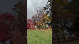 Fall vibes usa roadtripusa shortvideo trucking weather shortvideo roadtriplife [upl. by Lorenza]