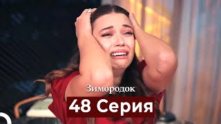 Зимородок 48 Cерия Русский дубляж [upl. by Ahola983]