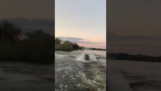 Angry hippo chases boat must watch [upl. by Eedak632]