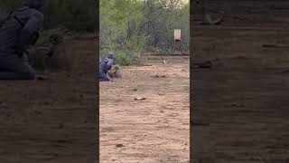 Giant Hog with a Bow archery bowhunting wildhogs [upl. by Robinson379]