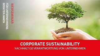 Webinar für Unternehmensberaterinnen  Corporate Sustainability  Andreas Dolezal  UBIT Wien [upl. by Ahilam]