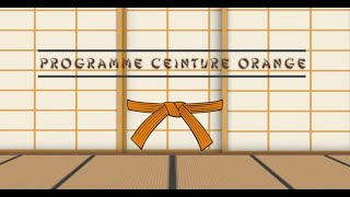 Ceinture ORANGE  Programme du Passage de Grade Judo [upl. by Enelra]