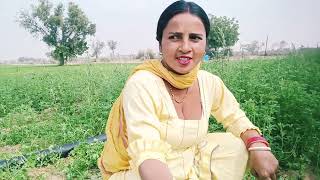 Aaj Ki Hamari Good Morning🥱🌞 और गाय 🐄 के लिए काटा चारा 😃 dailyvlog [upl. by Yrreb]