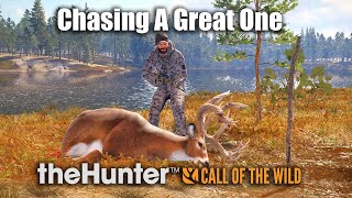 Chasing A Great One Whitetail Deer At Revontuli Coast  theHunter Call Of The Wild [upl. by Rojam]