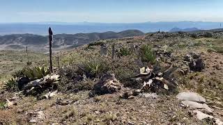 Llegamos a la cima del cerro sierra [upl. by Manup889]