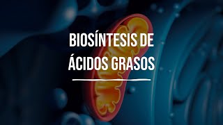 Biosíntesis de Ácidos Grasos  Metabolismo de Lípidos  Bioquímica  Lic en Nutrición [upl. by Tivad]