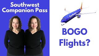 The Easy Way To Earn the Southwest Companion Pass Steps Strategies and Timing [upl. by Ylek]