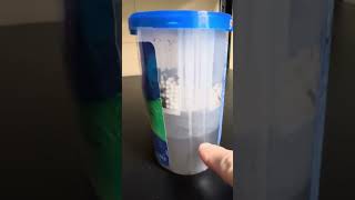 DampRid Review  60 Days of Use Full Container [upl. by Anez]