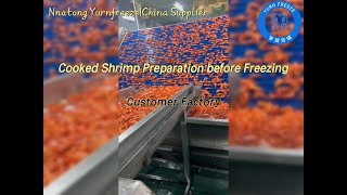 Cooked Shrimp Preparation before Freezing [upl. by Nanice]