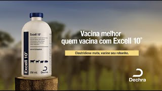 Vacina melhor quem vacina com Excell 10® [upl. by Janna513]