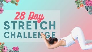 28Day Stretch Challenge You in [upl. by Almeta]