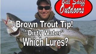 quotSpring Brownsquot Lake Ontario  Tip quotDirty Waterquot Bait Selection [upl. by Euqinor]