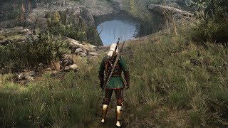 99 Players Missed This Secret Quest With Ultra Rare Loot  Witcher 3 Next Gen [upl. by Natty]