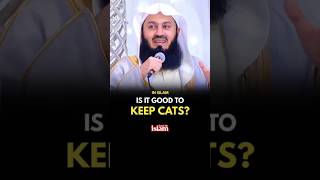 ARE CAT PURE IN ISLAM  MUFTI MENK [upl. by Llien]