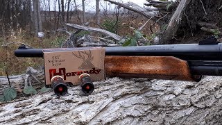 SW Ontario Archery and Shotgun Deer Hunt 2018 [upl. by Snehpets]