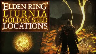 Elden Ring  Liurnia Golden Seed Locations [upl. by Eerized459]