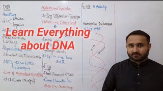 Ch 2 Lec 15 Structure and Function of DNA Class 11 Biology [upl. by Eioj]