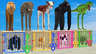 Dont Choose The Wrong Key With Elephant Cow Lion Gorilla Escape Room Challenge Animals Cage Game [upl. by Ugo]