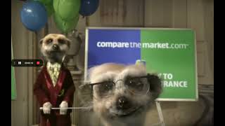 10 Simples For Compare The Meerkat [upl. by Idoj]