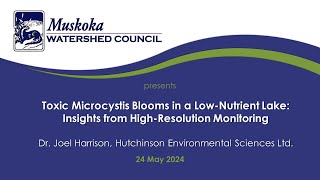 Toxic Microcystis Blooms in a LowNutrient Lake Insights from HighResolution Monitoring [upl. by Ruon]