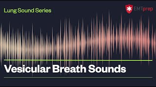 Vesicular Breath Sounds  EMTprepcom [upl. by Kan]