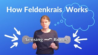 What is Feldenkrais  3 Principles by Annie Thoe [upl. by Ober]