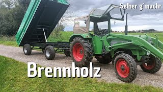 REISCH  Brennholz  Kippen  Einparken Millimeterarbeit [upl. by Nomrah]