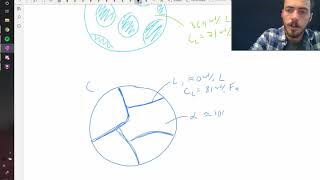 Drawing simple microstructures using the lever rule [upl. by Noet]