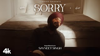 Sorry Visualizer Savneet Singh  New Hindi Song  TSeries [upl. by Youngman]