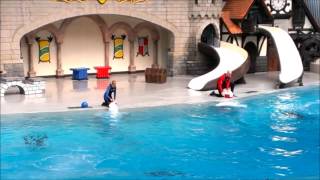 MarineLand Canada Dolphin Show [upl. by Elatsyrk]