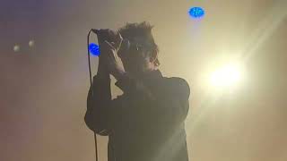 echo and the bunnymen live Denver 2024 [upl. by Maidie]