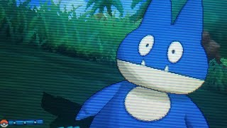 LIVE Shiny Munchlax after 1426 encounters in Pokèmon Moon [upl. by Asilahs707]