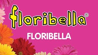 Floribella  audio oficial [upl. by Htaek]