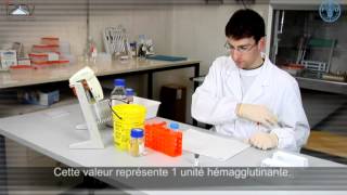 Inhibition de lhémagglutination IHA [upl. by Lim955]