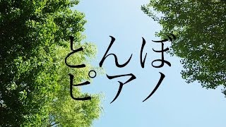 とんぼ ピアノ 癒しBGM！作業用、勉強用などのBGMに！ [upl. by Scarlet687]