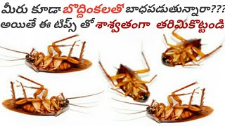 బొద్దింకలన్నింటిని శాశ్వతంగా తరిమికొట్టే సింపుల్ చిట్కాలు How To Get rid of Cockroaches From Home [upl. by Rosenquist330]