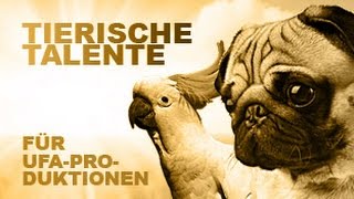 Tiercasting Wir suchen tierische Talente [upl. by Norahs21]