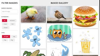 Advance Filterable Responsive Image Gallery Using HTML CSS and Vanilla JavaScript [upl. by Arathorn]