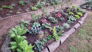 Finally completed this massive perennial bed in my GA zone 8a garden Third times the charm [upl. by Ahsinotna]