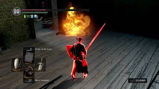 Spicy Meatball kill  Ornsteins Spear vs MLG Dark Souls Remastered Lv80 PvP [upl. by Assed]