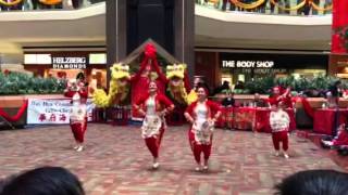 Kardelen Turkish Dance Ensemble Chinese New Year Celebration 2013 [upl. by Pope]