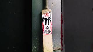 My adidas bat  cricket shorts cricket loving short video [upl. by Nathan]