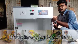 Parrot Brooder Machine Big Size  New model [upl. by Aztilay815]