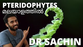 pteridophytes  plant kingdom  malayalam  pteridophytes class 11 plus one  NEET [upl. by Scharf153]