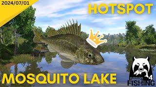 TROPHY Ruffe HotSpot Mosquito Lake Russian Fishing 4 [upl. by Eki]