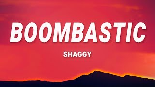 Shaggy  Mr Boombastic Lyrics [upl. by Marlene]