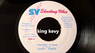 Terry Ganzie  Prepare Fi War  Shocking Vibes 7quot 1992 [upl. by Heintz]