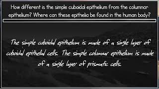 19 Epithelia [upl. by Schenck]